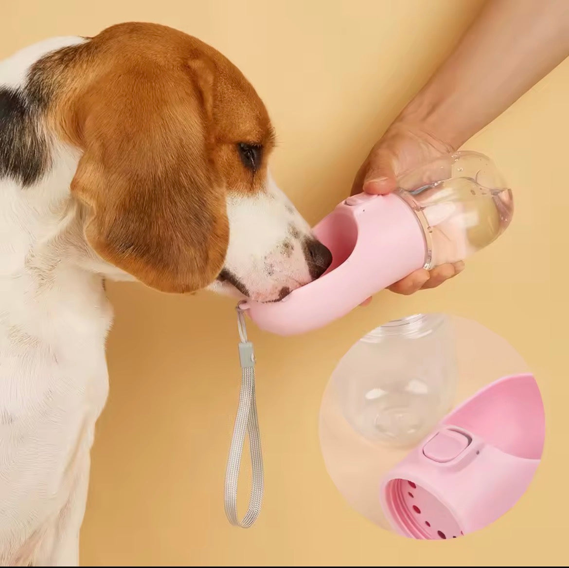 Dog Water Bottle — Leakproof Travel Water Feeder for Dogs & Cats