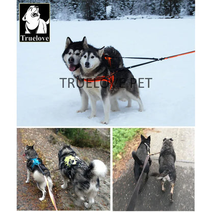 Double Dog Lead Coupler — No-Tangle Nylon Leash for Walking Two Dogs