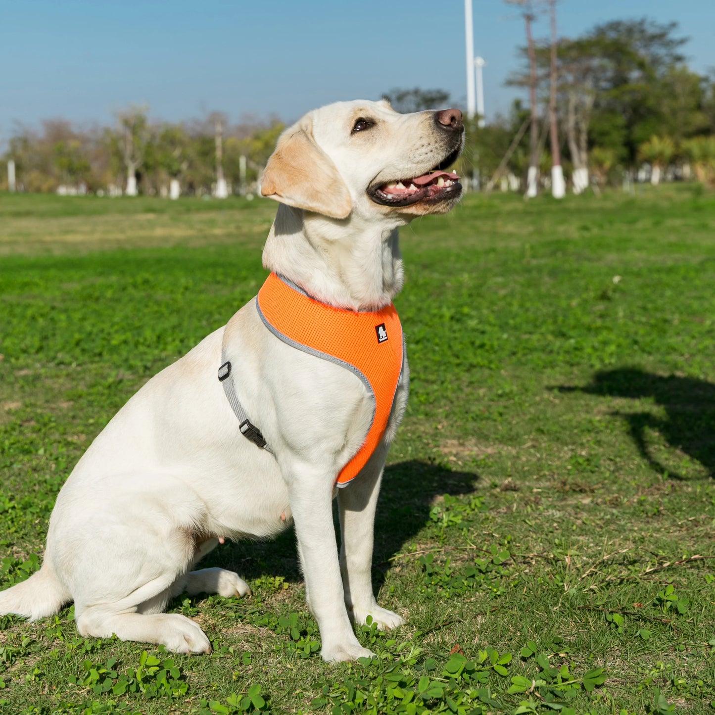 Truelove Mesh Dog Harness — Breathable Vest for Puppies & Cats